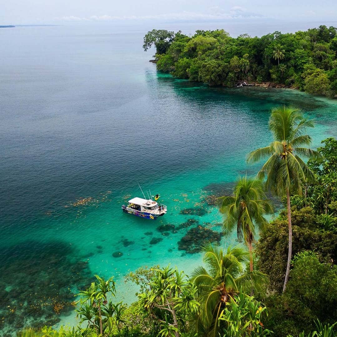 Papua New Guinea image