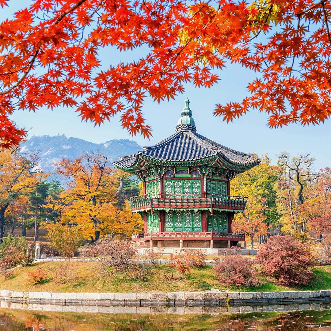 South Korea image