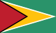 Guyana flag